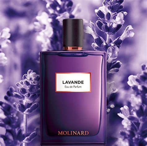 eau de toilette lavande|lavender fragrances.